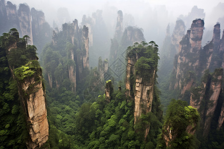 森林中耸立的山峰背景图片