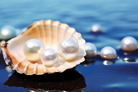 海洋珠宝素材白色珍珠背景