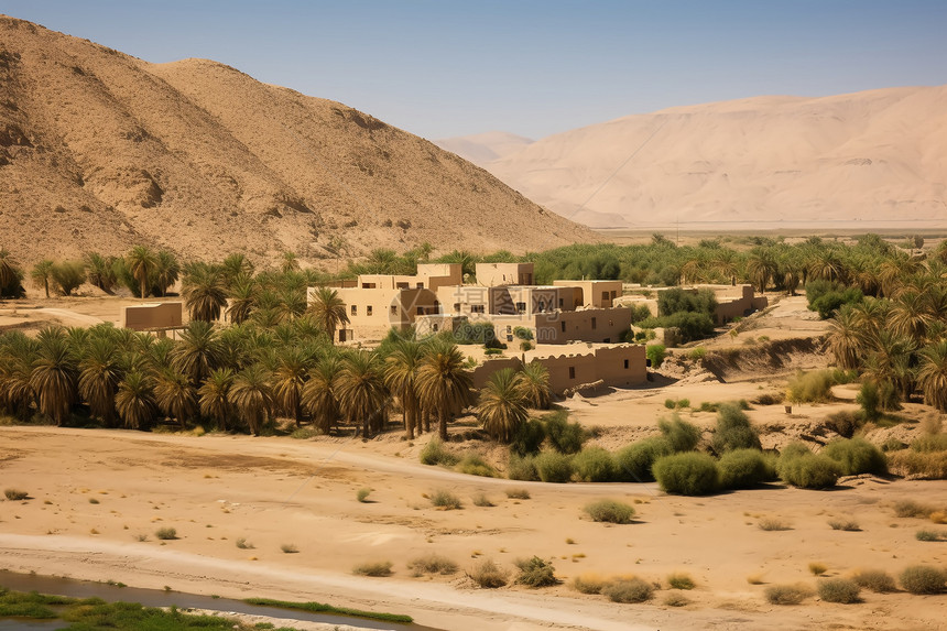 沙漠里的村庄绿洲图片