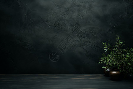 绿色植物桌面黑色墙纸背景设计图片