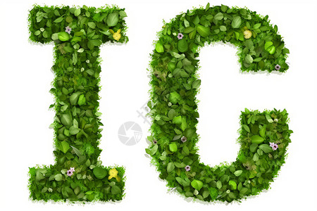 绿叶字母IC图片