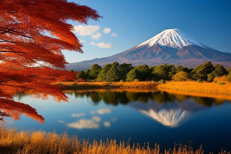 富士山的美丽景观背景图片