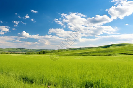 牧场油画油画般的乡村田野背景