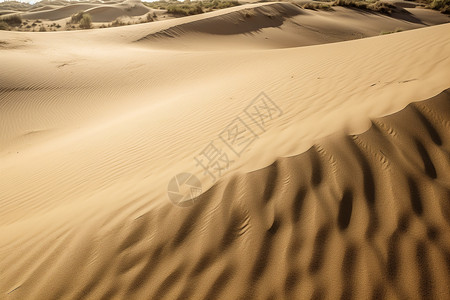 沙漠的美丽风景图片