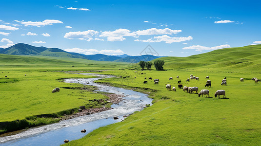 辽阔草原上放牧的牛群高清图片