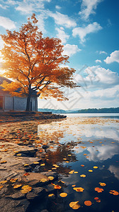 秋天山间湖泊的美丽景观背景
