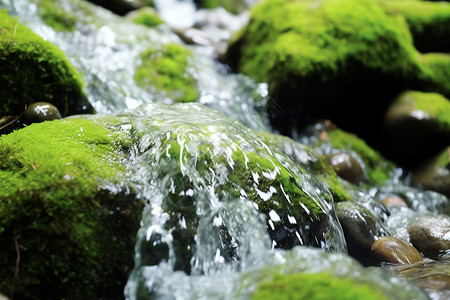 溪流的苔藓生态地下水高清图片