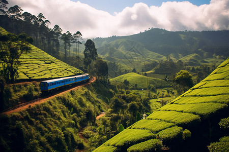 户外火车亚洲国家自然景观背景