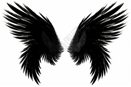 黑白对称黑色对称的翅膀插画