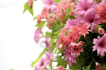 浪漫的粉色花束图片