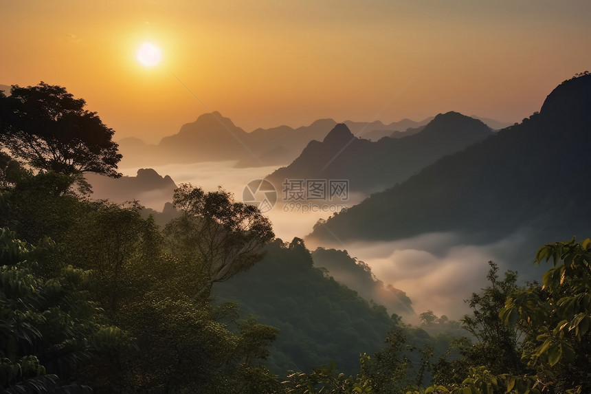 日出时迷雾笼罩的黄色景观图片