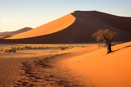 沙漠旅行背景图片