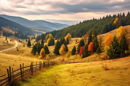 农场的秋天背景图片