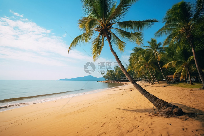 热带地区度假海滩的景观图片