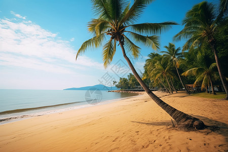 热带地区度假海滩的景观高清图片