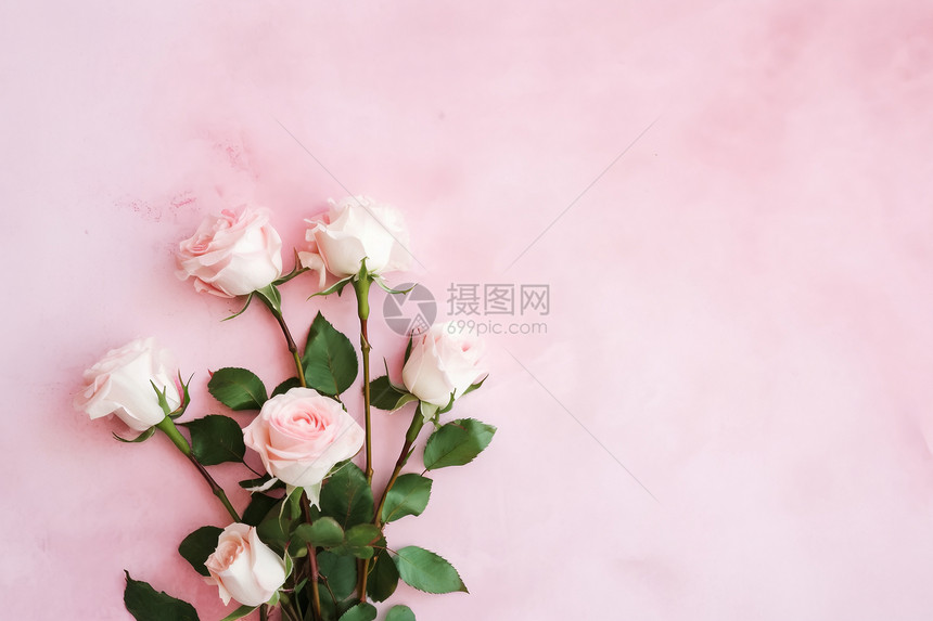 美丽的粉红玫瑰图片