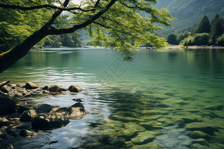 清澈美丽的湖泊背景图片