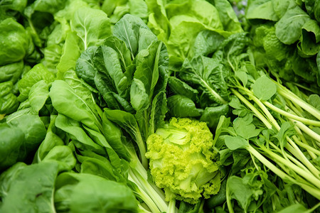 健康营养的绿色蔬菜背景图片