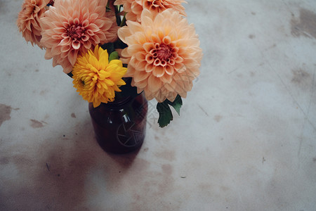 花瓶里美丽的植物花束图片