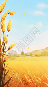 一束小麦田地里金黄的小麦插画