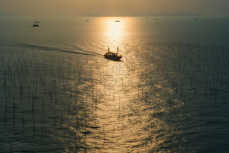 海面上捕鱼的渔船图片