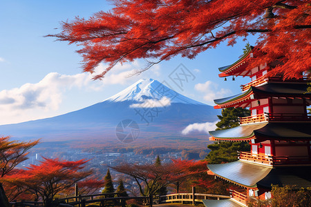 富士山红叶东京富士山背景