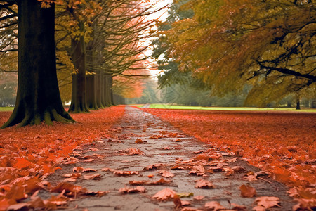 秋天的户外路径被分割的高清图片