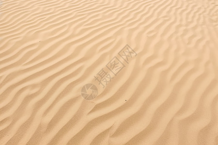夏天户外的沙丘背景图片