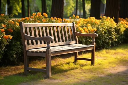 户外公园中的木质长椅图片
