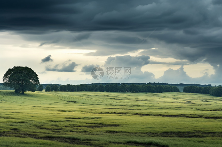夏季乌云密布的草原图片