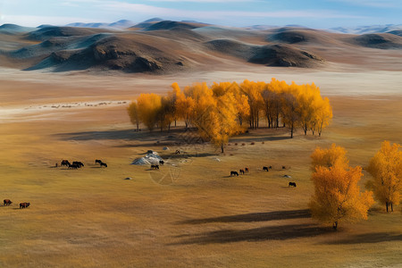 宽广无垠的大草原背景图片
