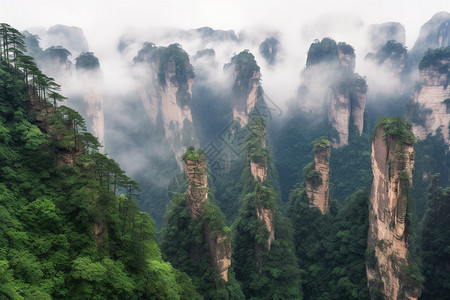 著名的悬崖景观图片