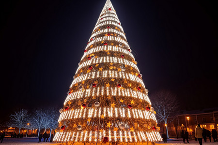 巨大的圣诞树背景图片