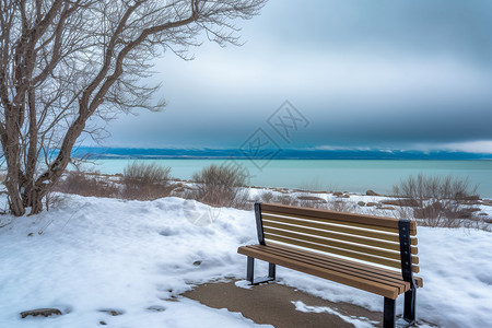 冬季花园雪地里的长凳背景