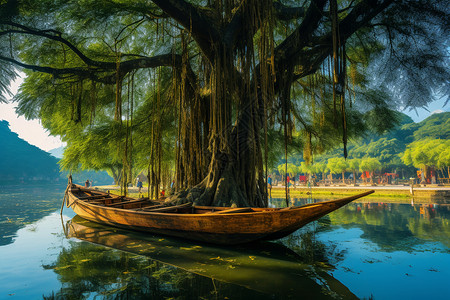 湖中央的榕树景观背景图片
