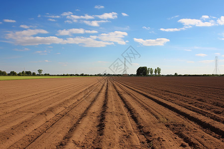 田野棕色的土壤图片