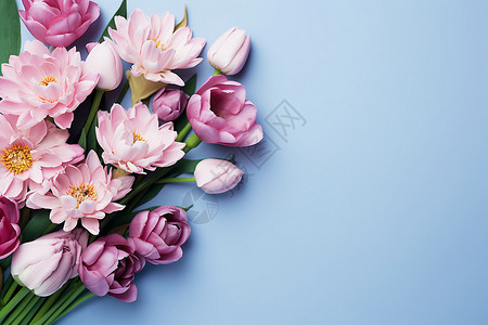 春天的花束背景背景图片