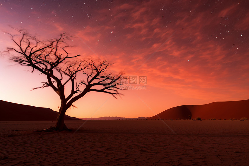 黄昏时的沙漠景观图片