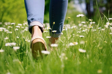草坪雏菊草地上散步的女孩背景