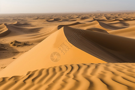 撒哈拉大沙漠沙漠的自然景观背景