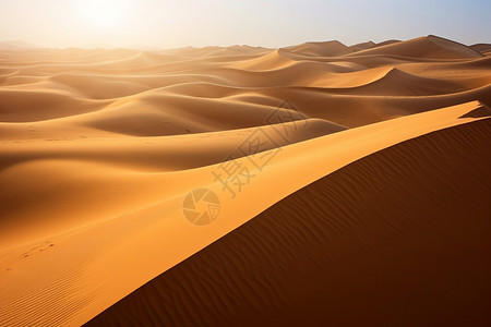 撒哈拉沙漠旅行图片