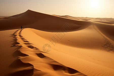 沙丘美丽的风景图片