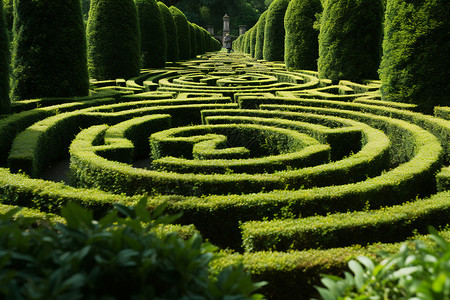 植物花园迷宫高清图片