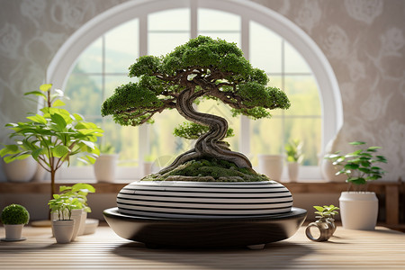 室内日式盆栽背景图片