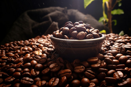 自然的咖啡豆图片
