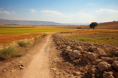 农村的砂石道路图片
