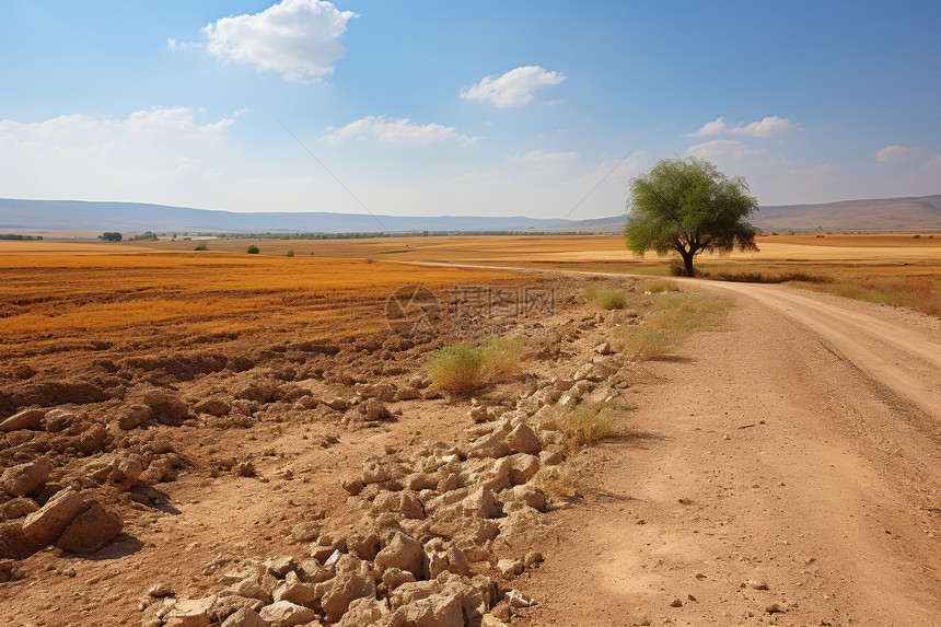 荒野乡村中的砂石道路图片