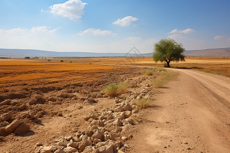 荒野乡村中的砂石道路图片