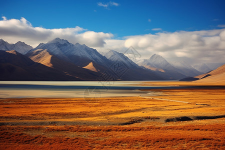 草原景物素材户外风光背景