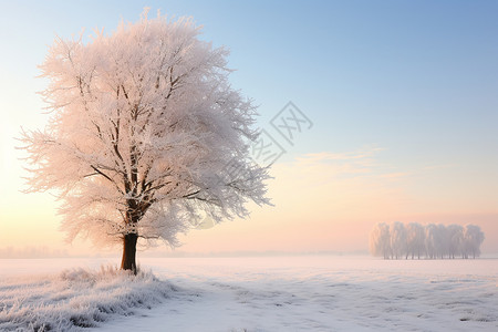 白色的雪地风景秀丽的天空高清图片